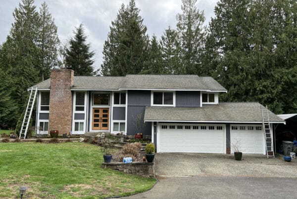 A two-story suburban house with gray siding, white trim, a brick chimney, and a three-car garage. Two ladders lean against the house, and tall evergreen trees line the background.