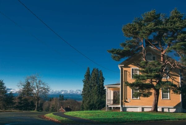 A yellow house with white trim sits next to tall pine trees under a clear blue sky. The house is partly in shadow, and there is a grassy lawn and a road curving nearby. Power lines stretch across the image.